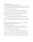 ¿Cuánto pesa un alma?