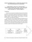 ASPECTOS AMBIENTALES EN LA FORMACIÓN UNIVERSITARIA DE LOS PROFESIONALES DE LA INGENIERÍA