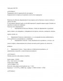 ACTIVIDAD 1 Organigrama sobre la organización de una empresa.