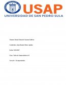 Tarea #1: El emprendedor.