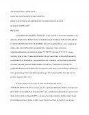 DIRECTOR GENERAL DE PROMOCIÓN EN DERECHOS HUMANOS