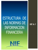TEMA: “ESTRUCTURA DE LAS NORMAS DE INFORMACION FINANCIERA”