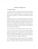 Para comprender la labor del penalista utilizaremos la figura del delito continuado3