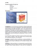 LA PIEL. Funciones naturales de la piel