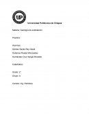 La Practica de fallas y pliegues.