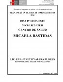 PLAN DE INMUNIZACIONES DEL CENTRO DE SALUD