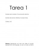 Informar: Blackboard nos dice que utiliza la función representativa del lenguaje, ya que con este se intenta explicar algún suceso o término, describir relaciones entre conceptos o instruir sobre algún proceso o conocimiento.