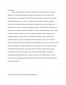 TECNICAS DE RECOLECCION DE INFORMACION. “EMPRESA MAYANOVA”