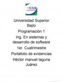PORTAFOLIO DE EVIDENCIAS DE PROGRAMACION