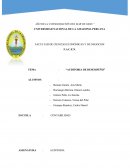 TEM DE EL AÑO DE LA CONSOLIDACIÓN DEL MAR DE GRAU”