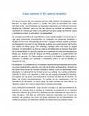 Caso número 2: El camino amarillo