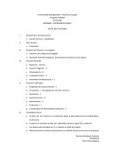 Brendaliz Acevedo Rodríguez, Coordinadora de Servicios Educativos