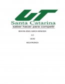 Critica del trabajo del presidente R. mondingo