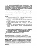 Cintas transportadoras.