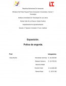 Exposición. Pollos de engorde.