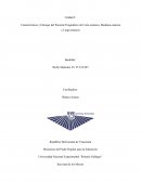 Características y Enfoque del Paciente Psiquiátrico de Corta estancia, Mediana estancia y Larga estancia
