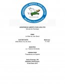 TEMA- UNIVERSIDAD ABIERTA PARA ADULTOS.