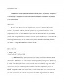 CAMPAÑA: LEVIS FOREVER.