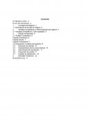 Ventajas competitivas y valor agregado.