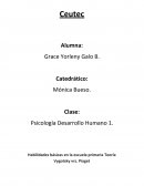 Habilidades básicas en la escuela primaria Teoría Vygotsky vrs. Piaget