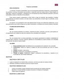 Resumen ejecutivo filtro de terracota.