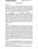 Fase de Germinación.