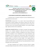 CONTENIDO III: FOTOSÍNTESIS Y RESPIRACIÓN CELULAR