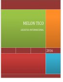 Melón Tico. ¿Qué razones justifican el elaborar un plan de negocios para exportar?