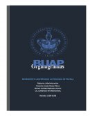 La Administración es la disciplina que se encarga de realizar una gestión