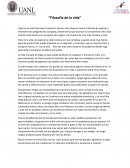 La fragilidad de la existencia: Reflexiones sobre lo efímero y lo esencial