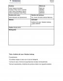 Análisis del caso: Helados Iceberg, ¿papa caliente?