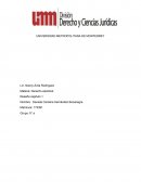 UNIVERSIDAD METROPOLITANA DE MONTERREY