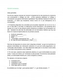 Guía de la entrevista.