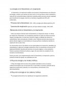 La energía en la fotosíntesis y la respiración.