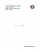 Ejercicio normas APA