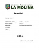 Tema: “Densidad total y Densidad de partículas del Suelo”.