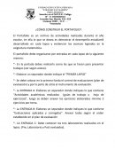 Como construir un portafolio