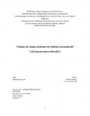 Trabajo de campo (analisis gerencial del LB guyana obtava estrella.