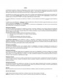 CLASIFICACION DE LAS DEFINICIONES