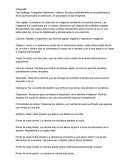 Foto análoga: Fotografía tradicional o clásica. Se basa habitualmente en procedimientos físico-químicos para la obtención y el procesado de las imágenes.