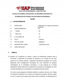 ELABORACION DE TRABAJO DE SUFICIENCIA PROFESIONAL