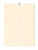 Organizar documento word