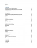 COMPETENCIAS A LAS QUE ATRIBUYR LA ASIGNATURA