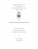 Estrategias de desarrollo profesional docente