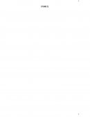 INTRODUCCIÓN A LA PROBLEMÁTICA