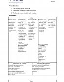 Modelo actual de la empresa