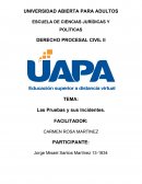 Las Pruebas y sus Incidentes.