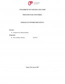 TRABAJO AUTONOMO REFLEXIVO