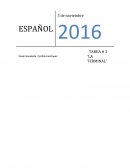 ¿Cómo relacionamos la película La Terminal de Tom Hanks, con la comunicación?