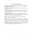Guía de metodología.